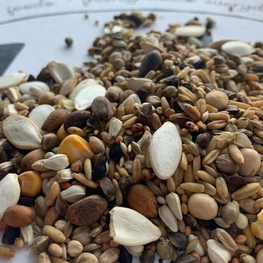 Parrot-like Tonic Seed offers a mix of groats, hempseed, yellow peas, pinenuts, and more to supply the vitamins and minerals often missing in typical bird seed mixes.