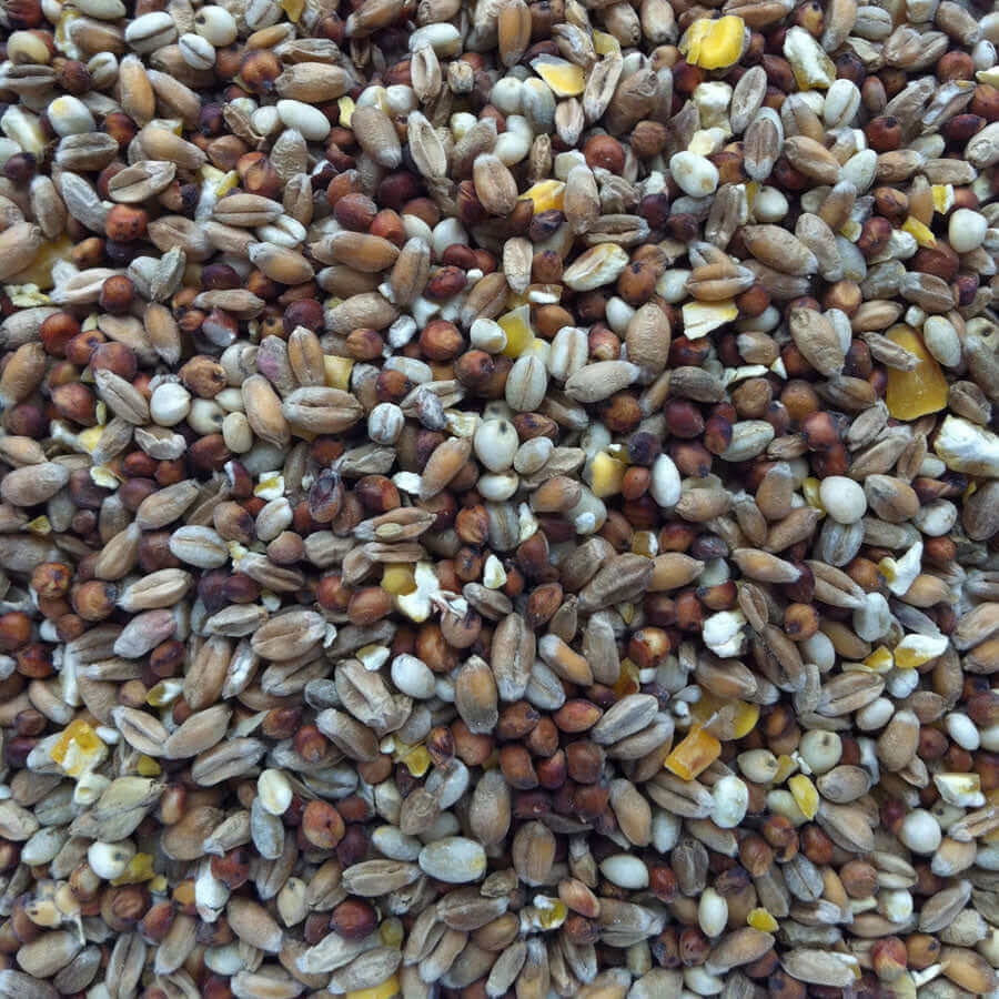 Dovecote & A1 Fancy Pigeon Mix is a complete feeding stuff, suitable for doves, fancy pigeons, pheasants and bantams.
