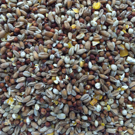 Dovecote & A1 Fancy Pigeon Mix is a complete feeding stuff, suitable for doves, fancy pigeons, pheasants and bantams.