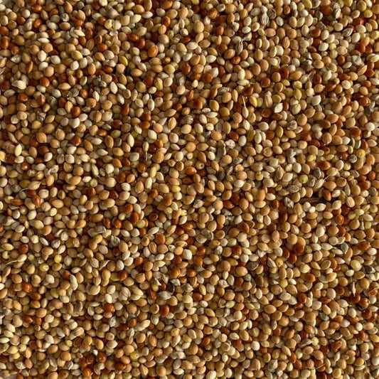 Haith's Mixed Millet, a blend of panicum, red, yellow, white and Japanese millet. 