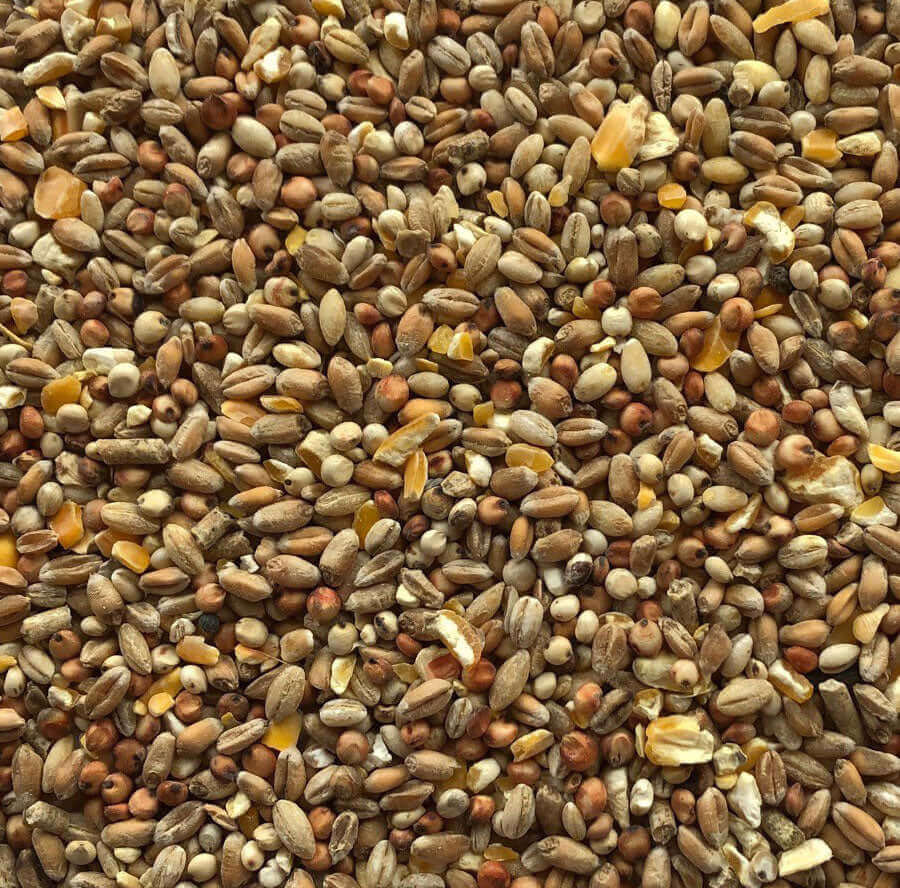Garden Pheasant Food is an economical mix of grains suitable for doves, game birds and domestic fowl.