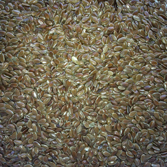 Linseed is a beneficial oil-seed for all seed-eating birds - especially during the moult.