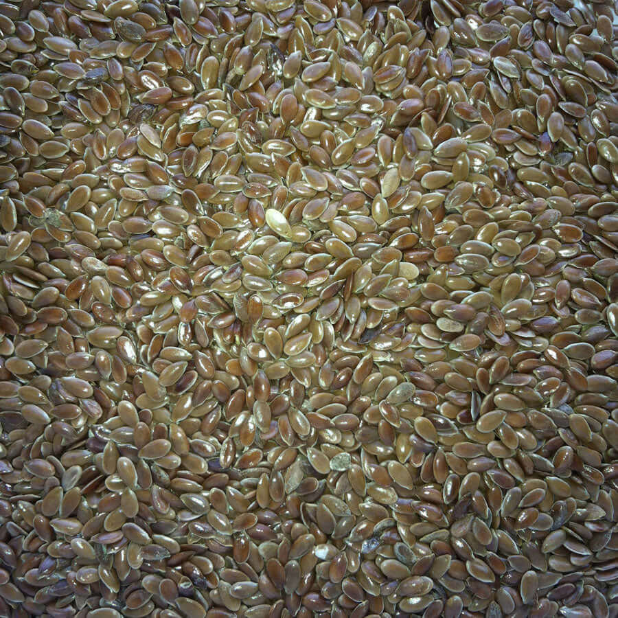 Linseed is a beneficial oil-seed for all seed-eating birds - especially during the moult.