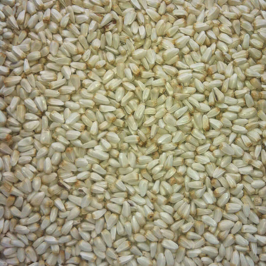 Safflower Seed is an annual oil seed crop and has a hard, white, outer husk. It's high in protein and popular with British Finches.