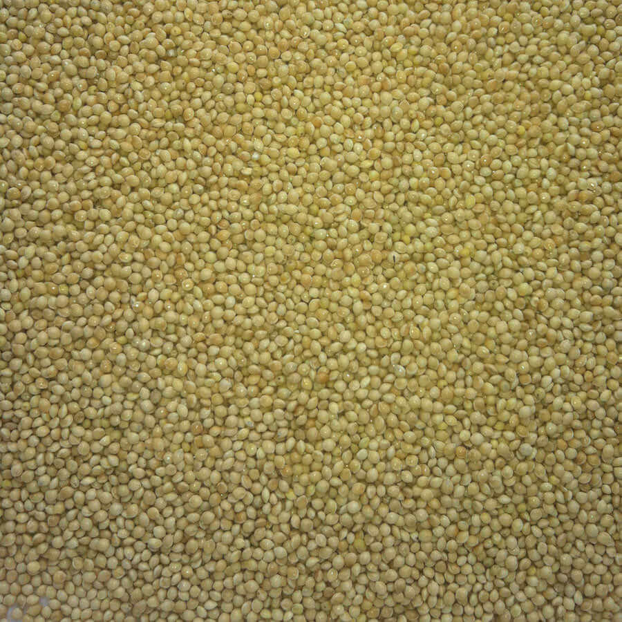 SuperClean white millet for cage birds. 