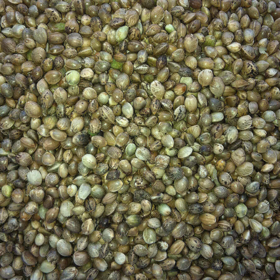 Hemp Seed is loved by most seed-eating cage and aviary birds, but it should be fed sparingly. Crushed Hemp Seed can be fed on its own or mixed sparingly with soft food. 