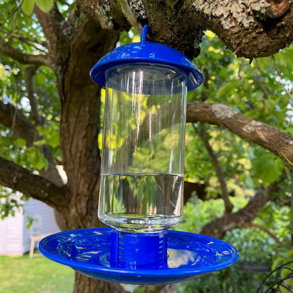 Water drinker with large base section which allows birds to drink and land easily and safely.
