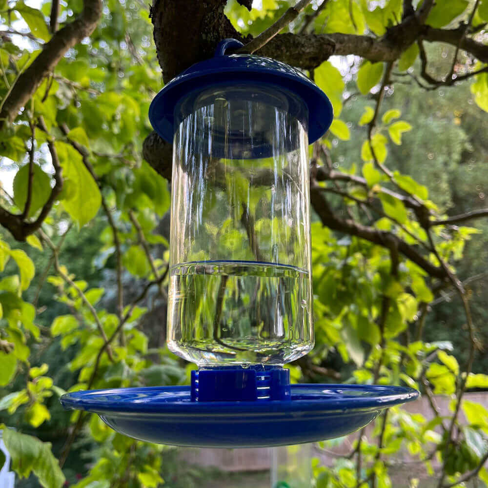 Water drinker with blue top & bottom and clear plastic centre suitable for hanging from a branch or feeding station.