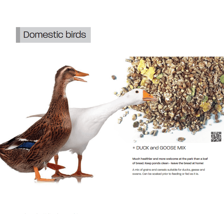 A duck and goose with Haith's Duck & Goose Mixture, filled with wheat and nutritional grains.