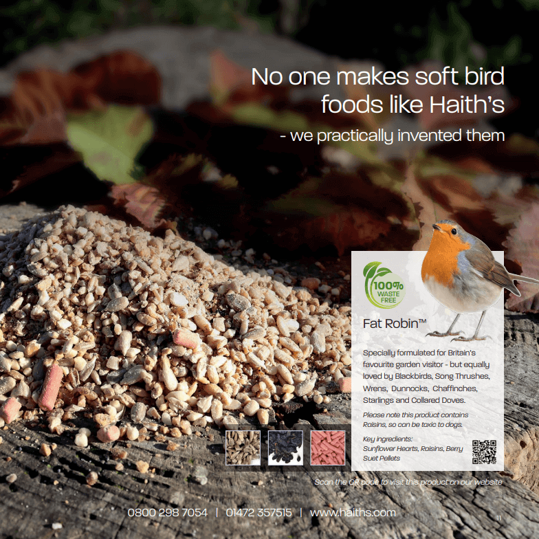 One of our most popular and unique soft foods blended with berry flavoured suet pellets for Britain's favourite garden bird - the Robin.