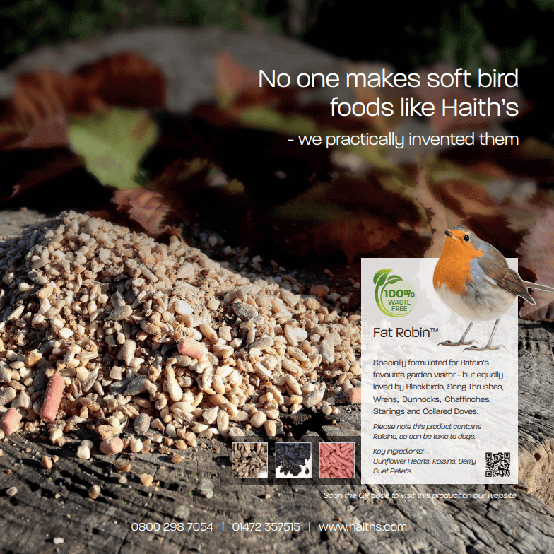 Feed more robins. One of our most popular and unique soft foods blended with berry flavoured suet pellets for Britain's favourite garden bird - the Robin.