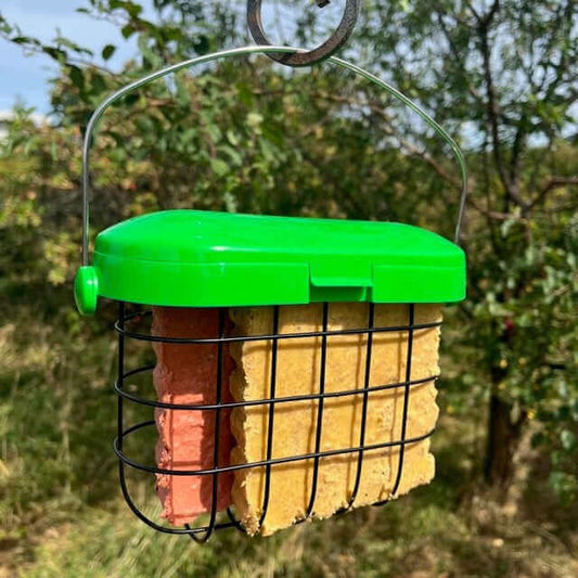 Double fat feast feeder with metal hanging loop, will fit two suet feast blocks