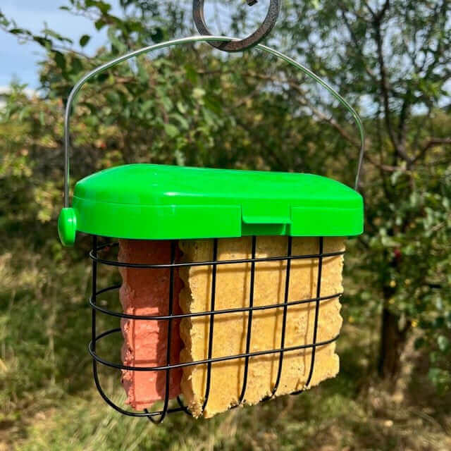 Double fat feast feeder with metal hanging loop, will fit two suet feast blocks
