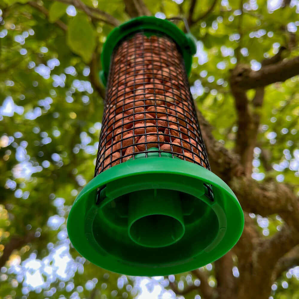 Green plastic peanut feeder with metal hanging loop for peanuts