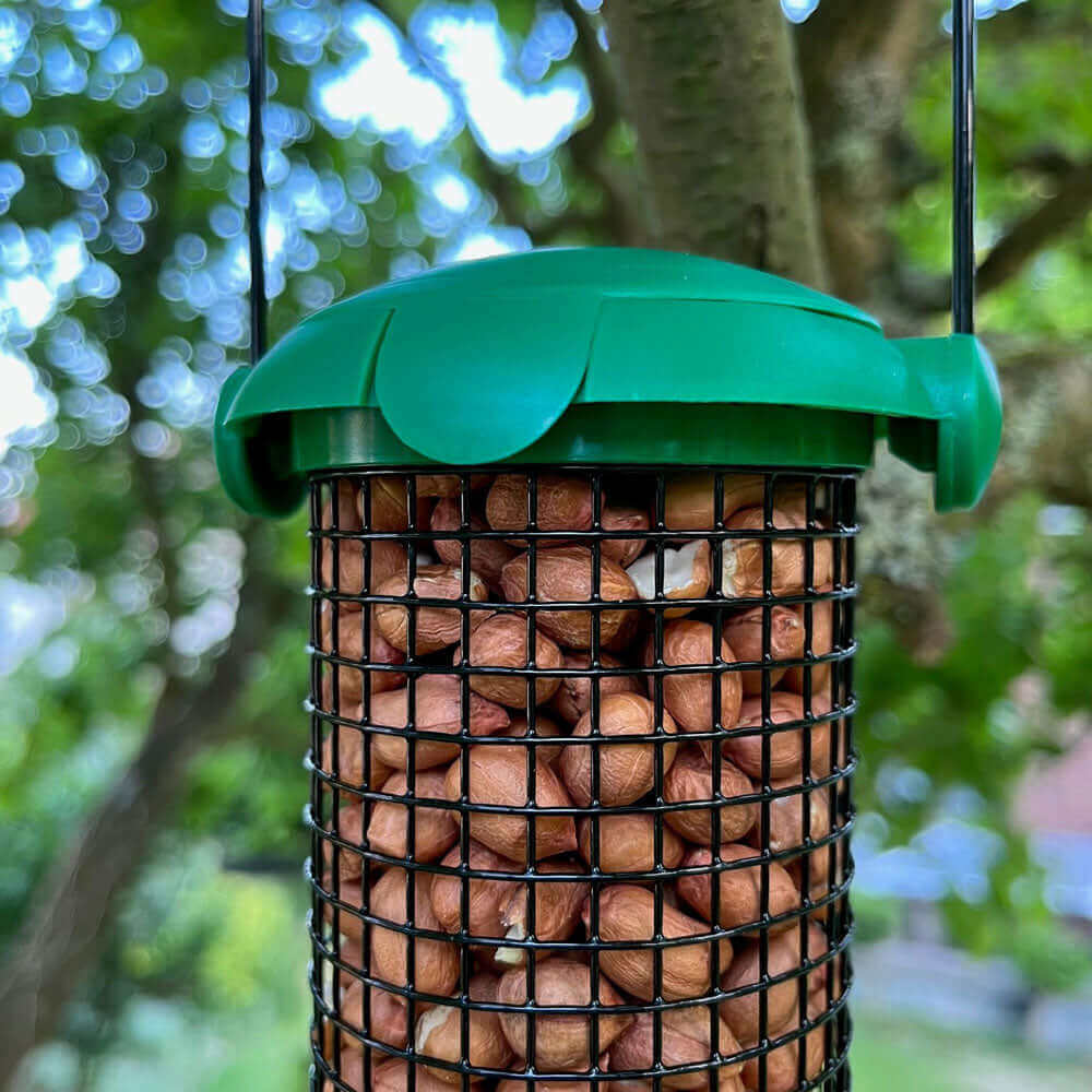 Easy fliptop peanut feeder made from plastic with metal hanging metal loop.