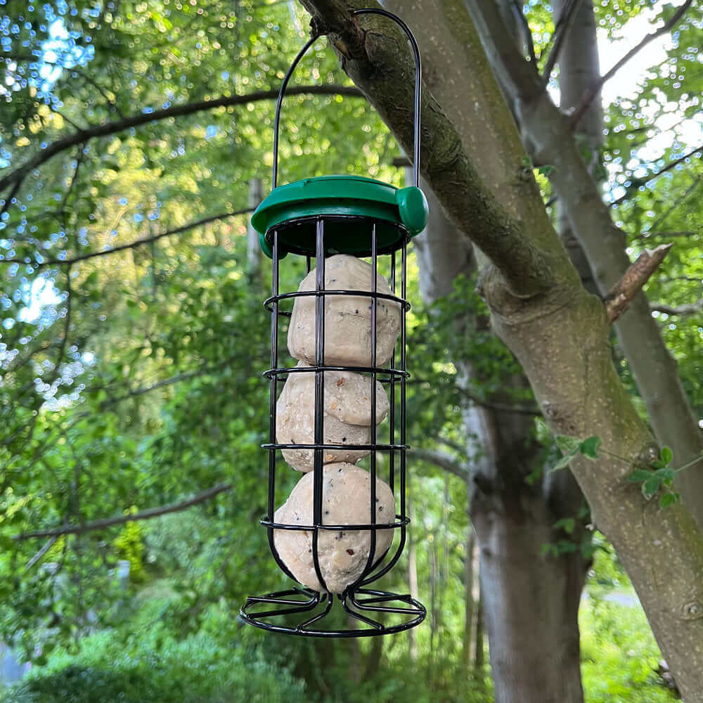 Attract more birds to your garden with this durable plastic FlipTop Fat snax bird Feeder with hanging loop