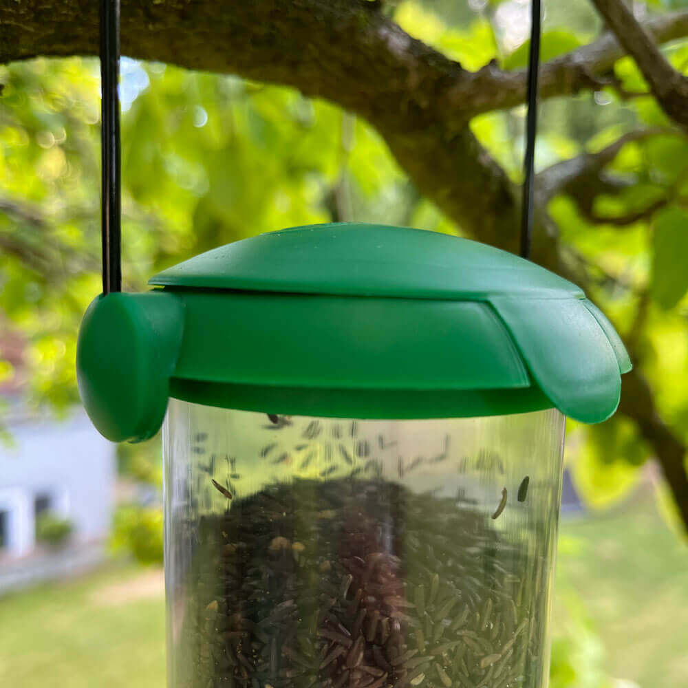 Easy to open and close lid on this plastic 2 port FlipTop Niger Feeder.