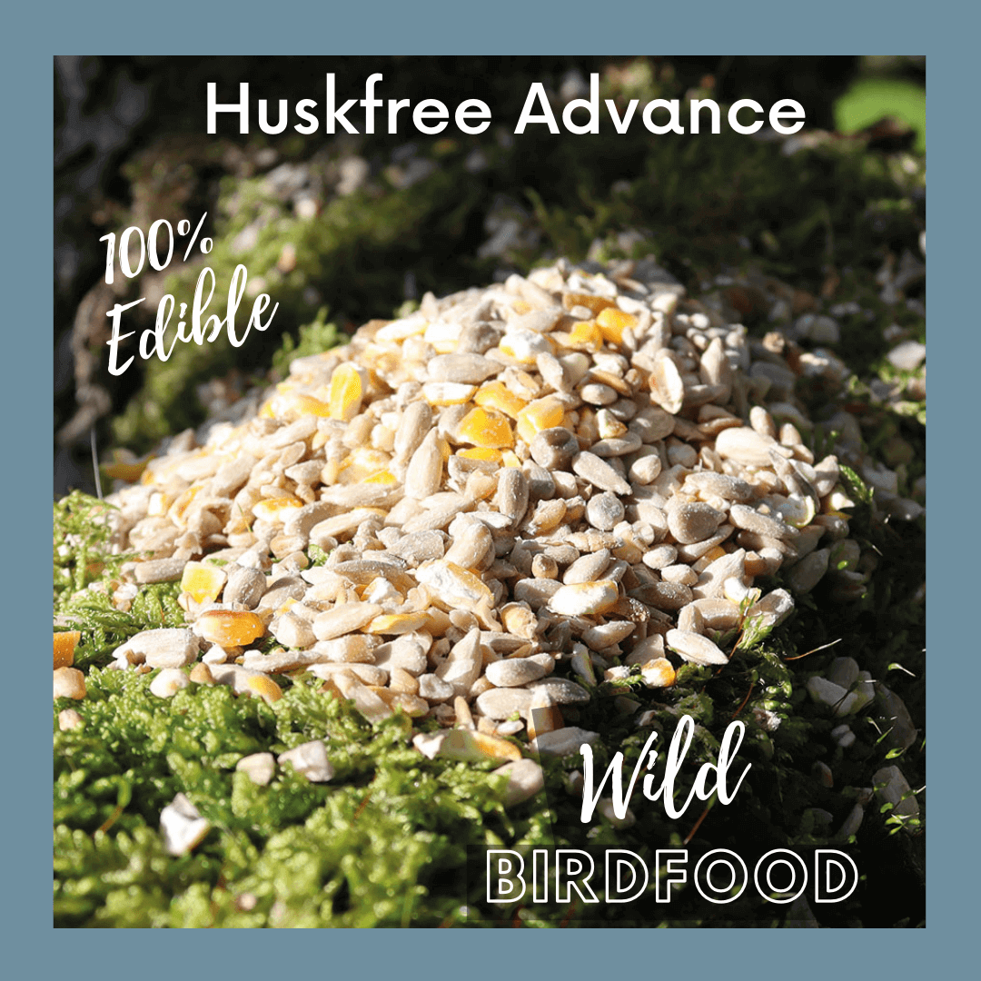 Haith's Huskfree Advance no mess, no grow bird food for garden birds