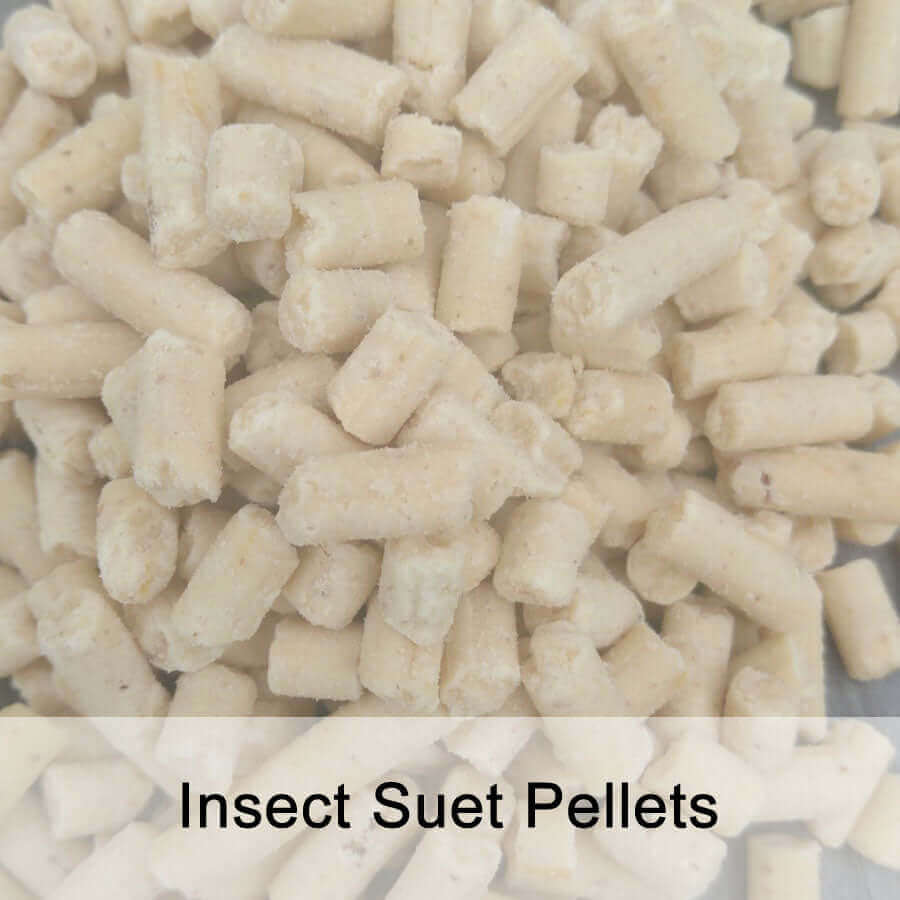 Insect suet pellets featuring in Haith's Huskfree advance with suet pellets for garden birds 