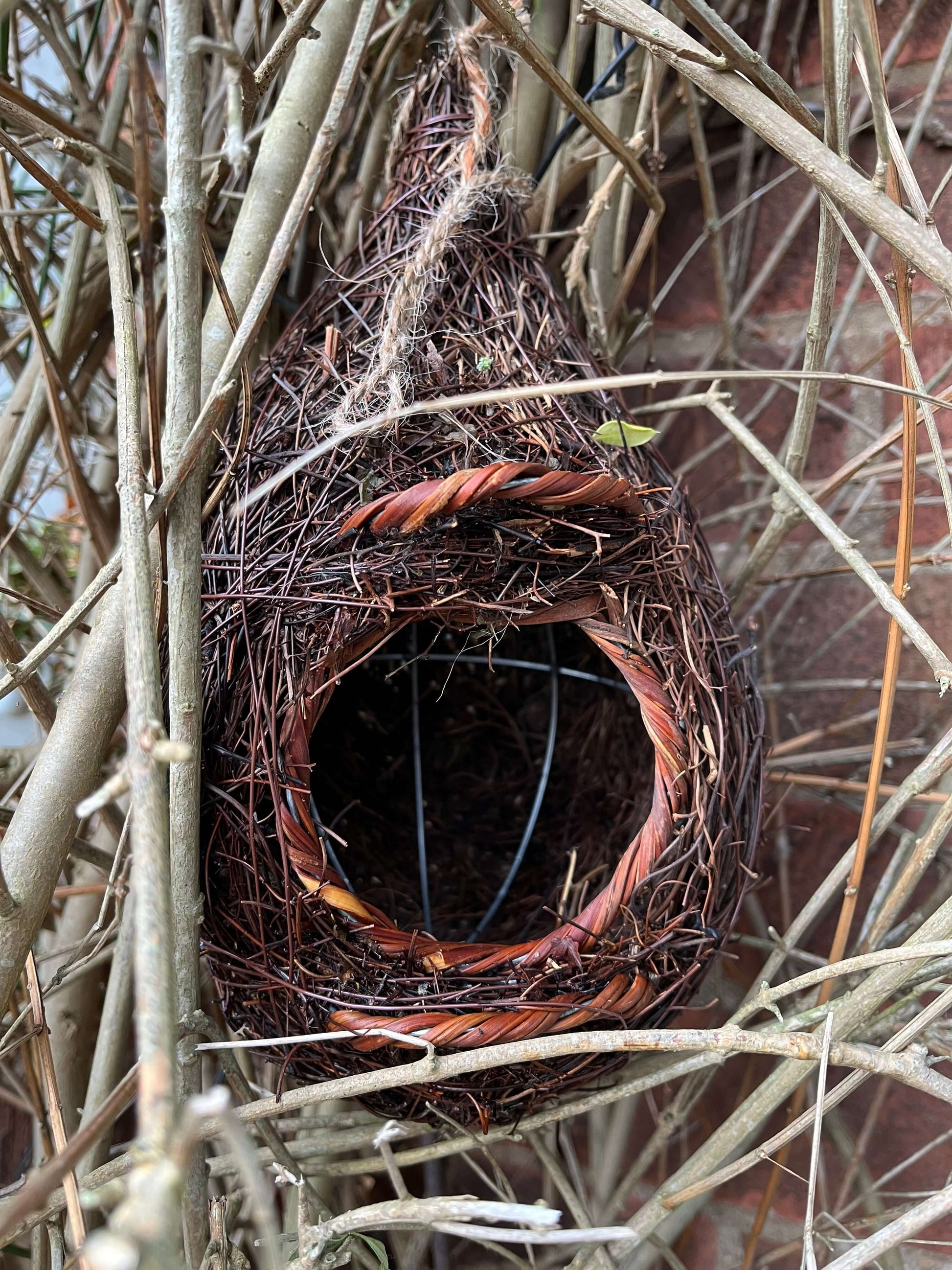 Giant Roost Pocket for Robins, hung up by twine.