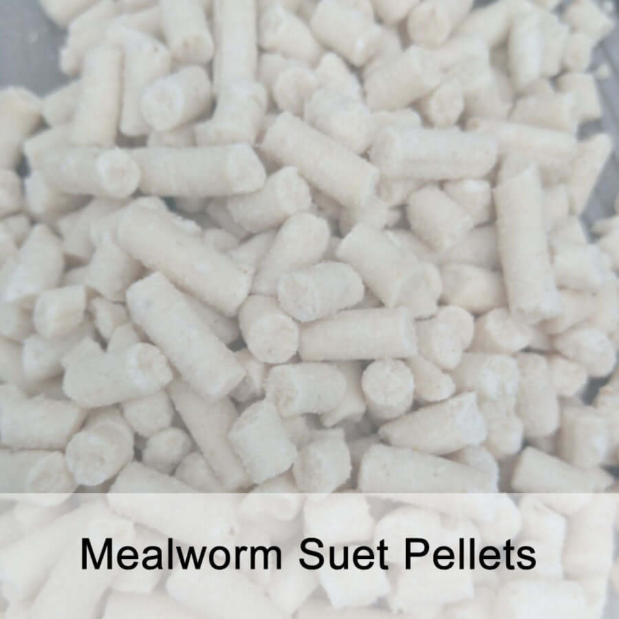 Suet Pellet Flavour Trial Pack