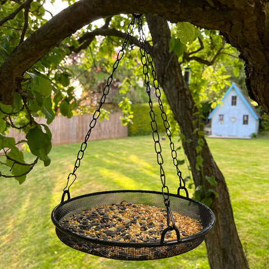 Hanging, black mesh feeder for all types of seed mixes,  sunflower seeds and suet.