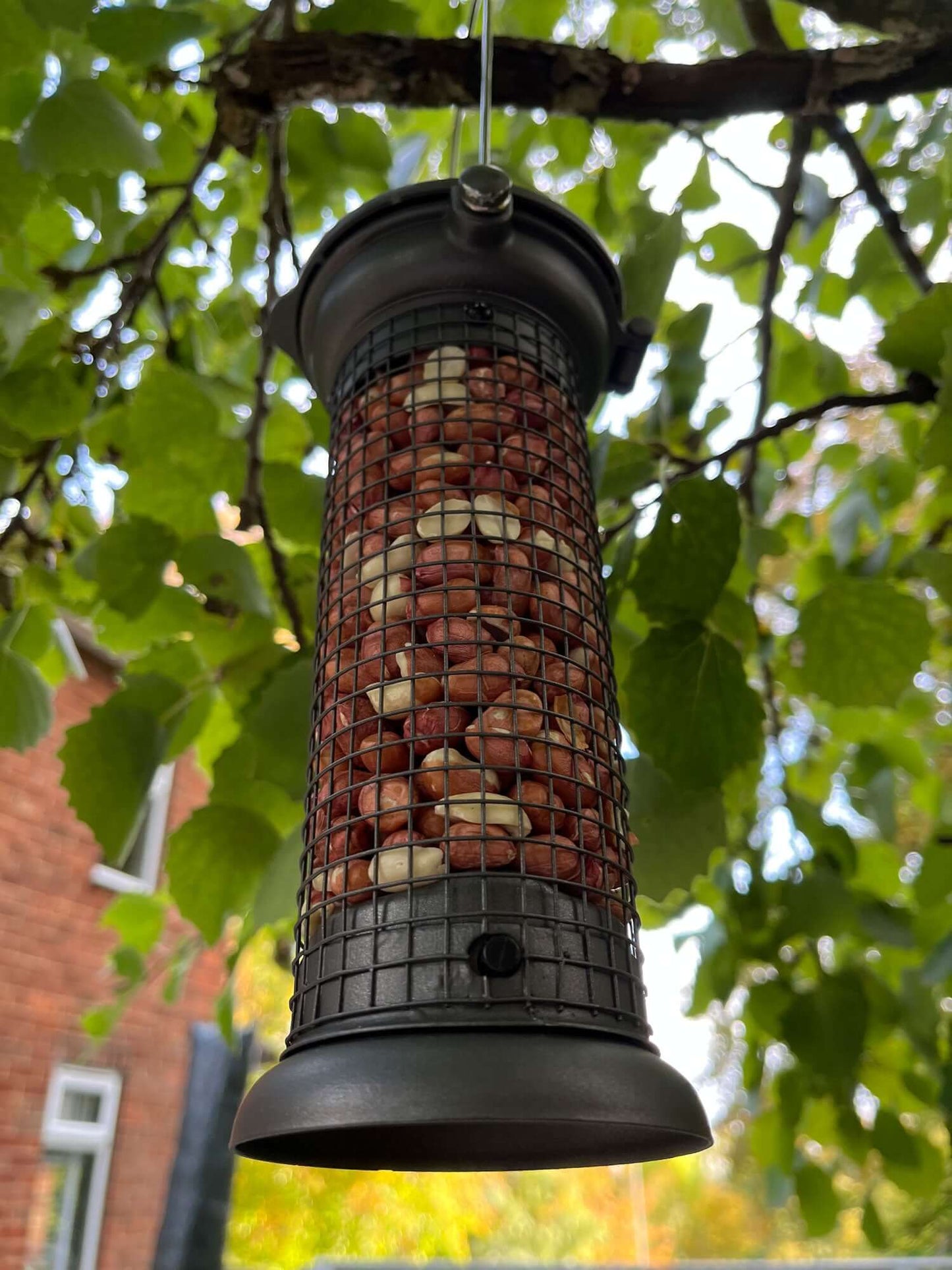 Pewter peanut feeder filled with peanuts with metal hanging loop