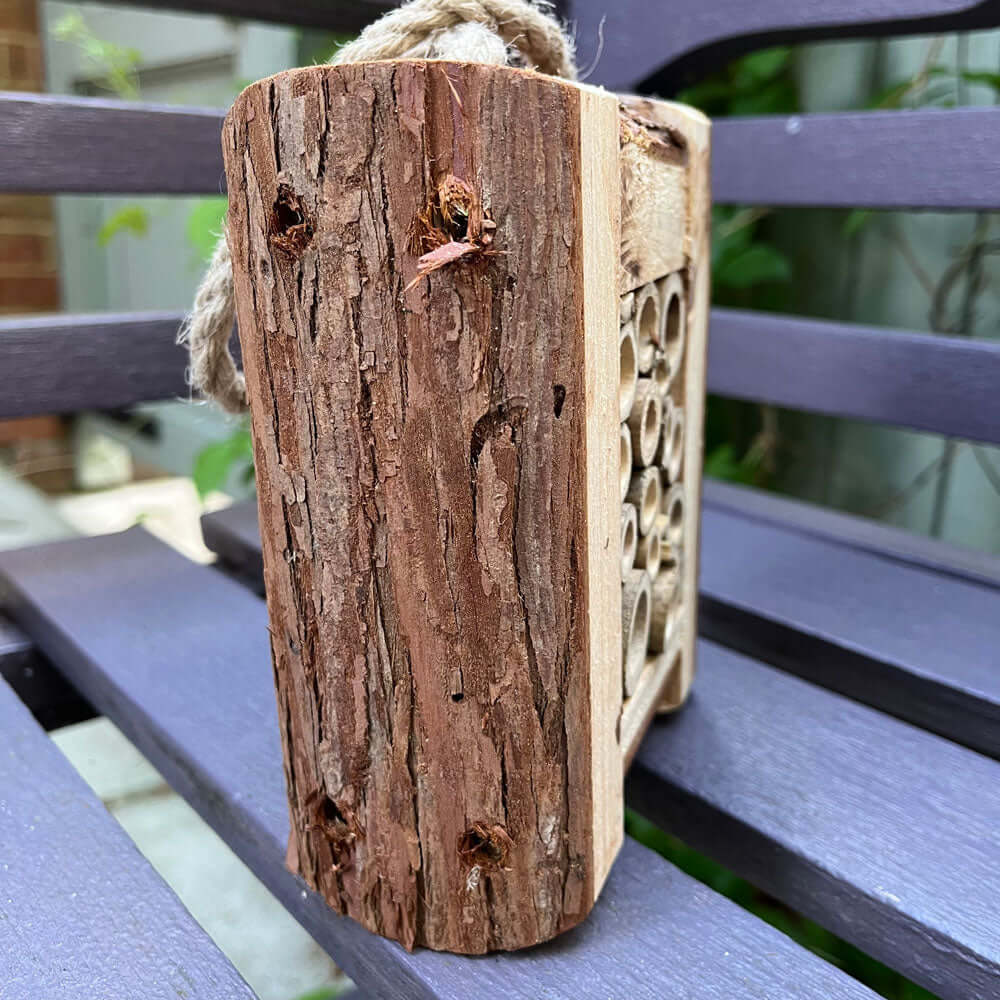 Side of the Insect Box, showcasing it's rich brown hue. 