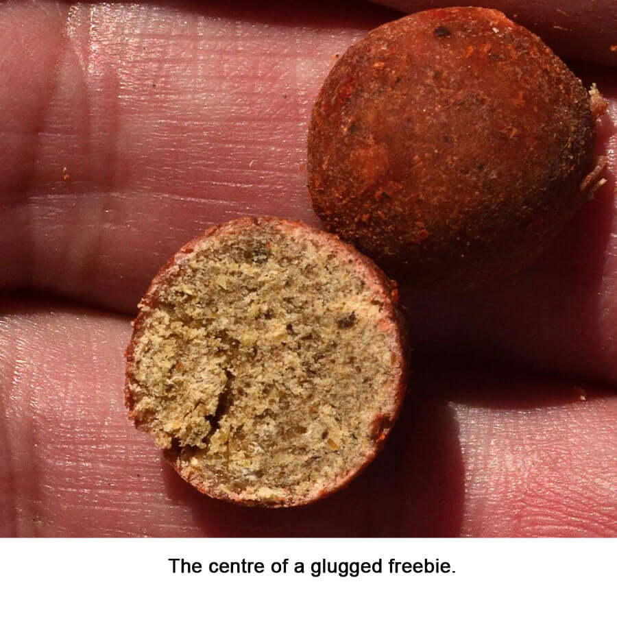 A freebie fishing bait that has been glugged with Liquid ROBIN RED.