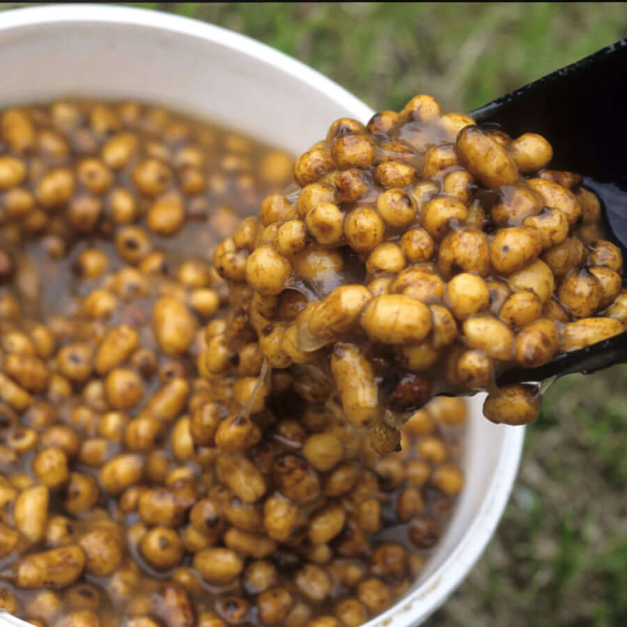 Haiths select their tigers nuts on size and sweetness as this allows them to ferment more quickly, producing the milky liquid you can see in the photo.