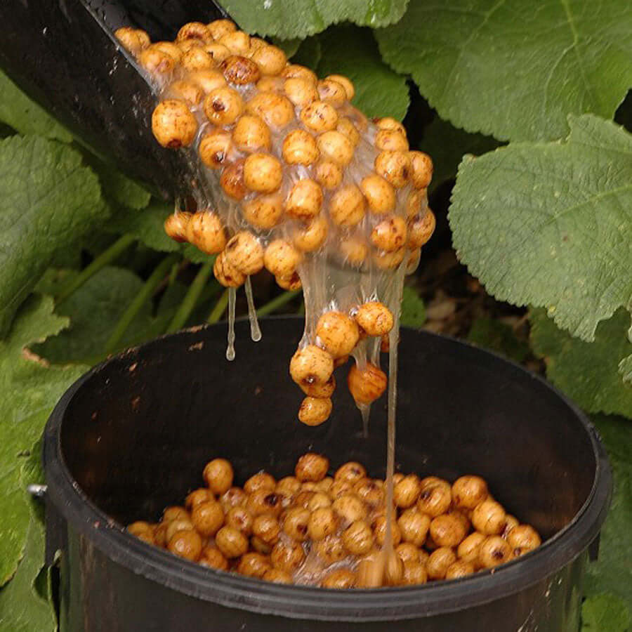 Our Tiger Nuts are crammed full of attraction and - once they start to ferment - they exude that thick frog spawn-like slime that makes them so effective.