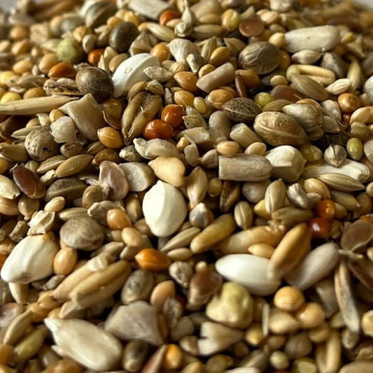 Genesis Mix is made up from a variety of super-clean seeds to help keep your bird in good health.