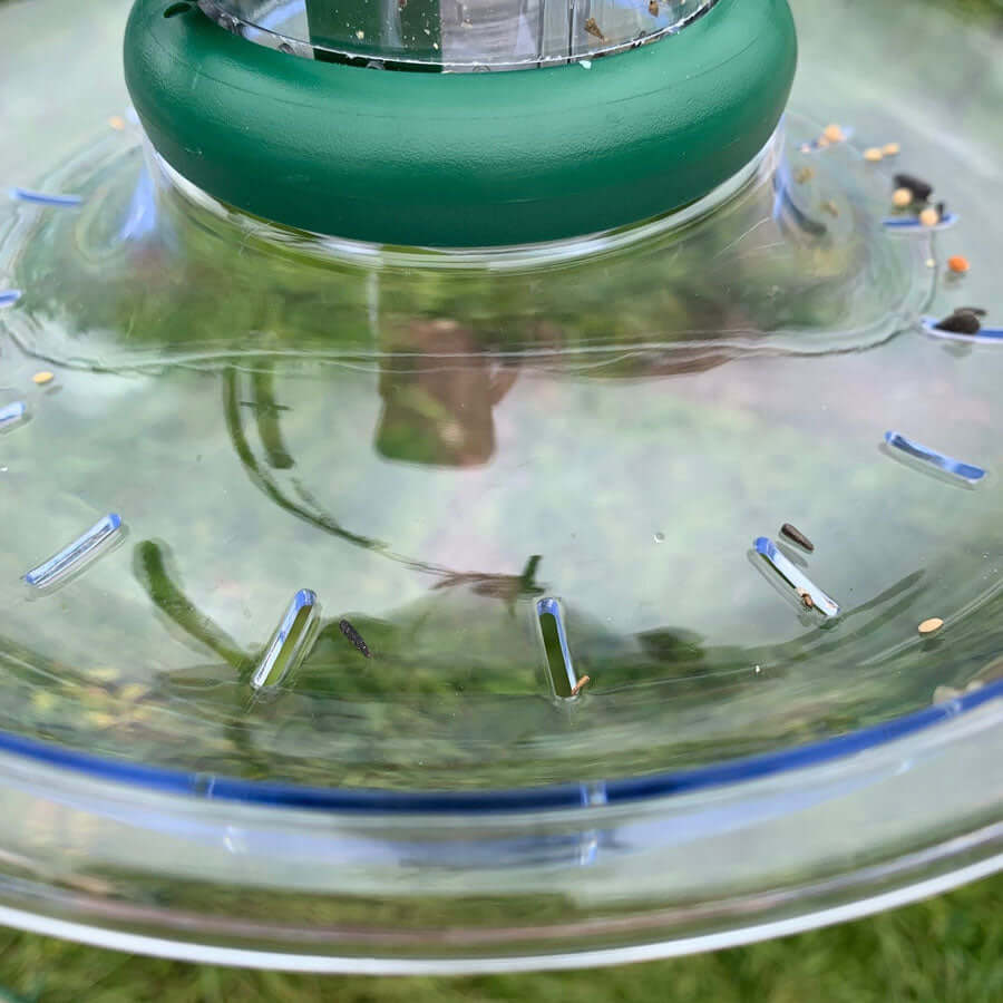 Clear durable polycarbonate tray with drainage holes  to prevent water logging