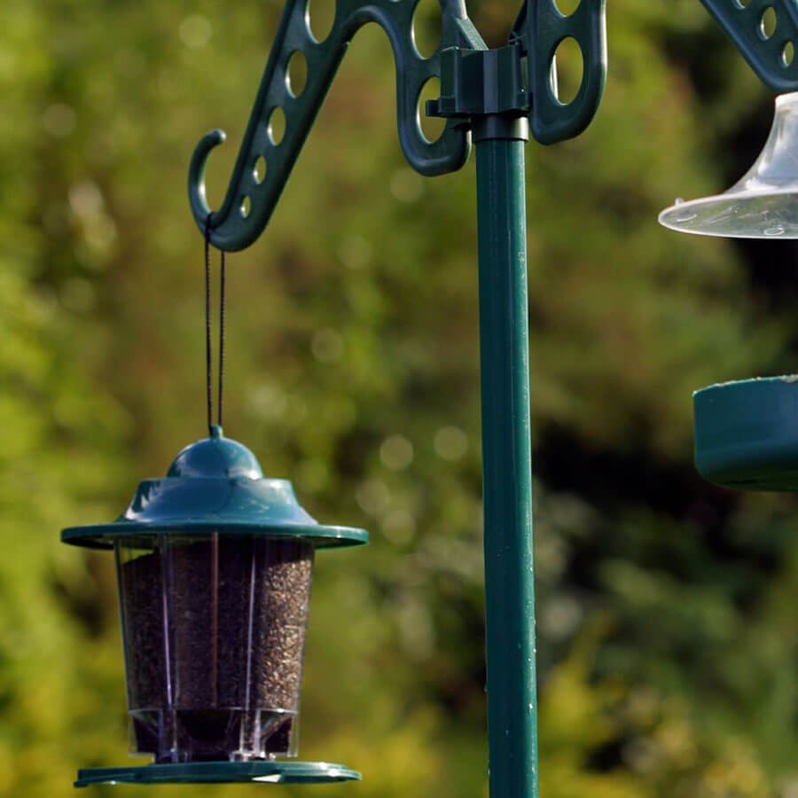 It can easily be added to an existing bird feeding station, 