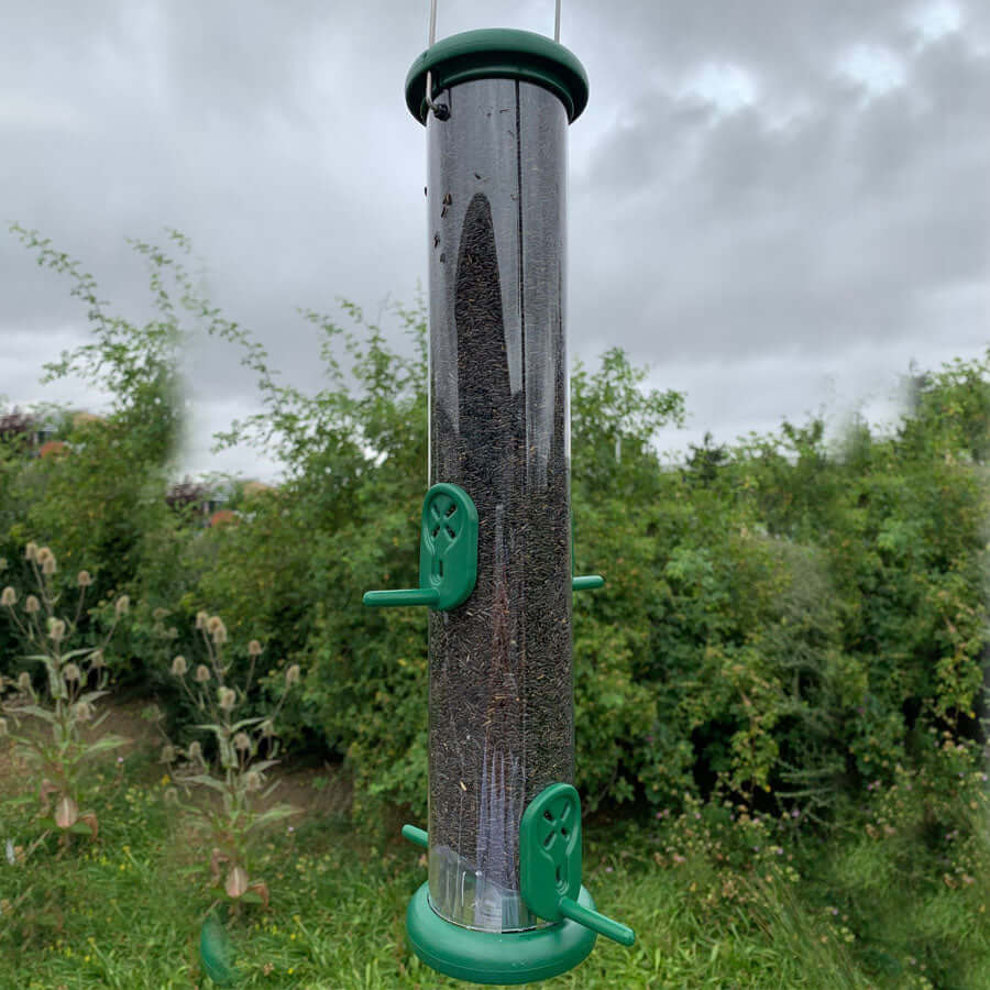 Green plastic niger seed feeder with plastic lid, bottom and 4 ports.