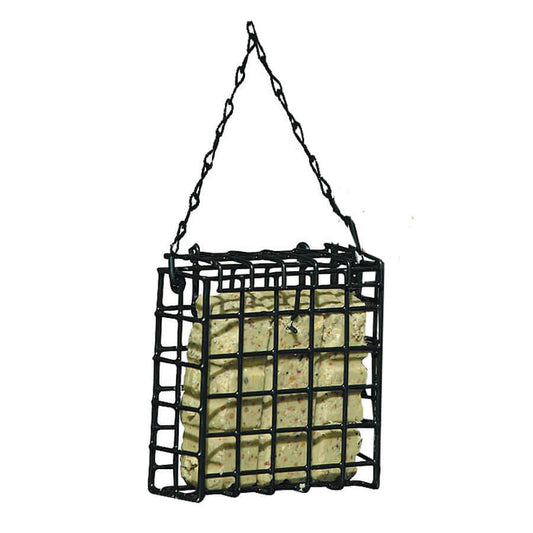 Fat feast feeders with hanging chain suitable for feeding one suet feast.