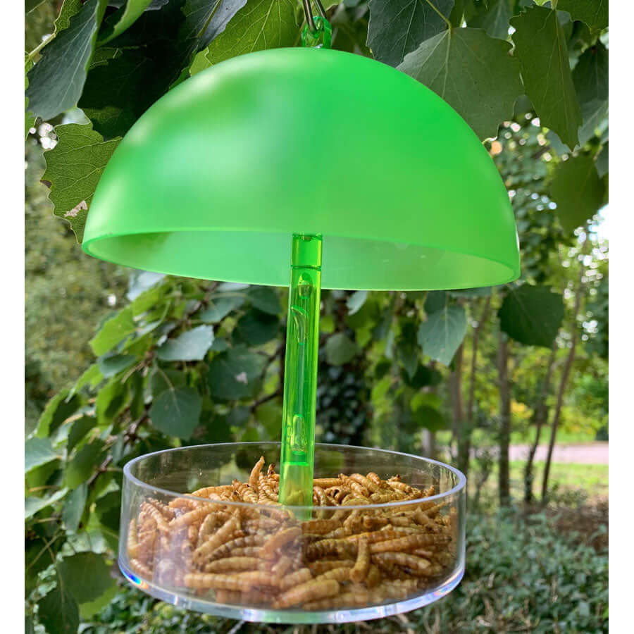 The feeder is ideal for feeding Seed, Sunflower Hearts, Suet Pellets and Mealworms