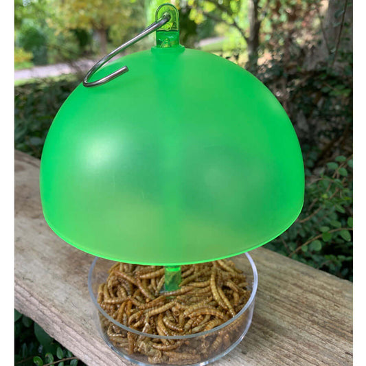 Green small bird feeder with adjustable domed roof for mealworms, suet pellets and seed.