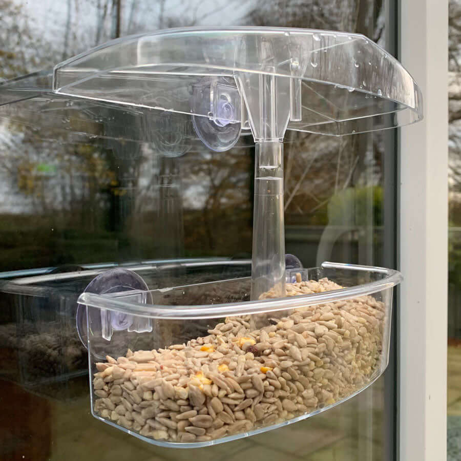 Haith's clear Window Feeder for garden birds.