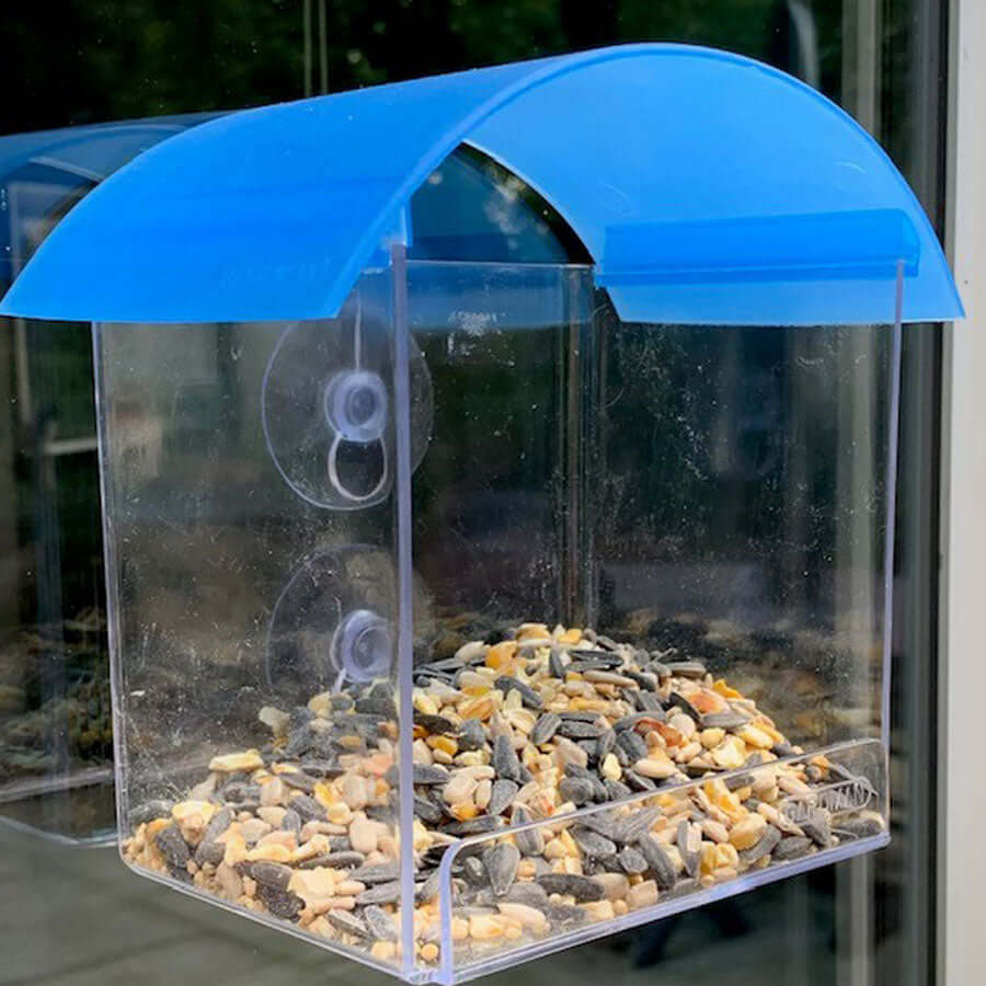 A small clear feeder with a blue dome roof and filled with bird seed.