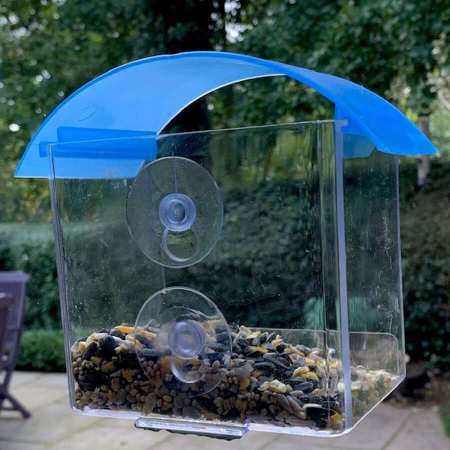 Clear plastic seed feeder attached to window with two suckers, blue domed roof, filled with seed