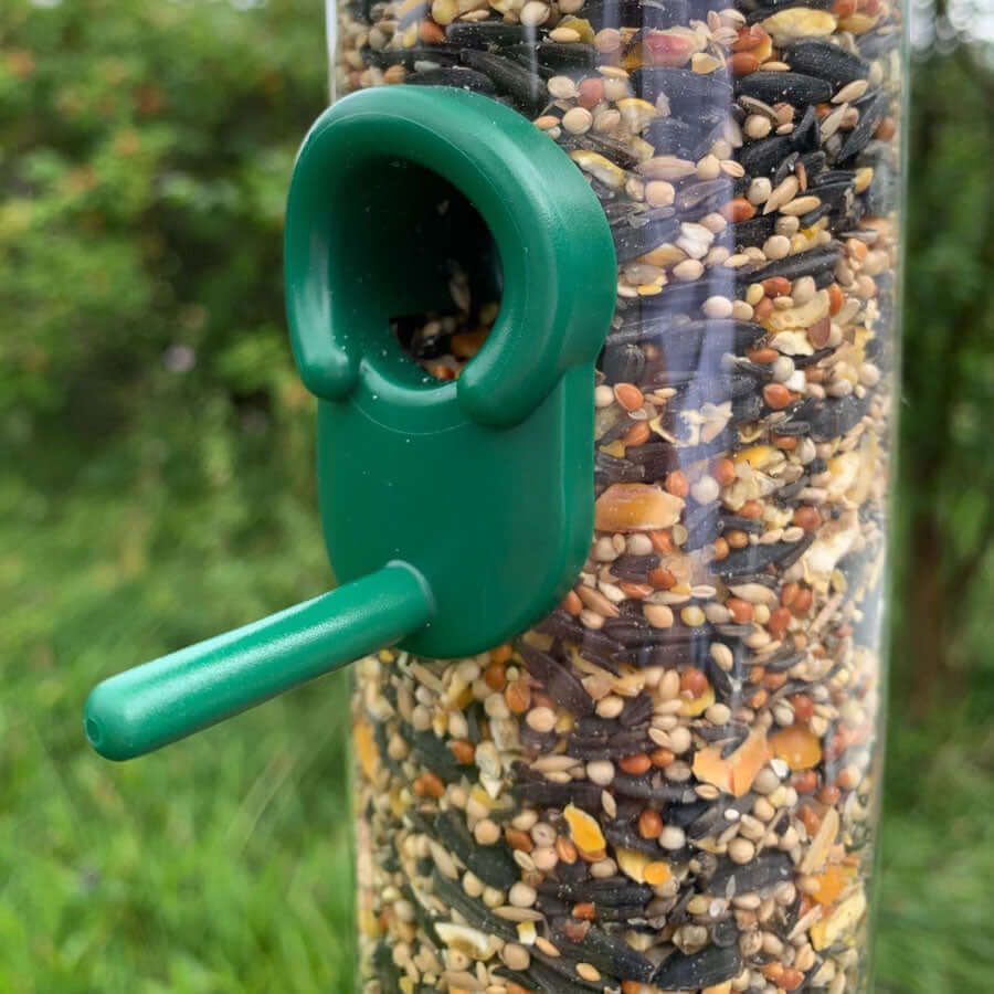 Green plastic seed feeder suitable for feeding seed mixes and sunflower hearts