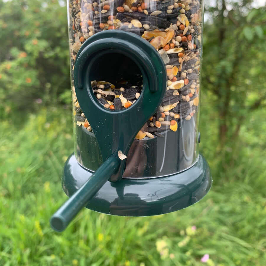 Sturdy seed feeder with easy removable base for easy cleaning