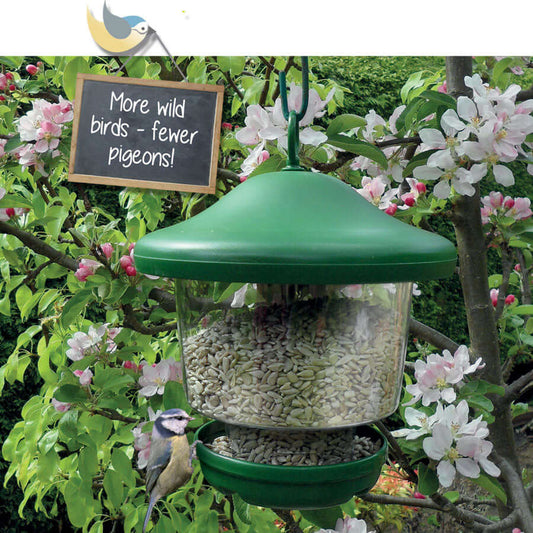 Green seed feeder for small birds to cling on to with twist off lid