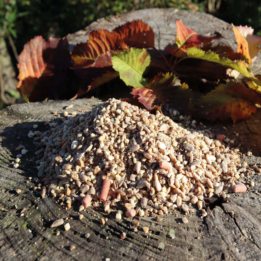 Place Fat Robin Food from Haith's on the ground  or on a bird table for maximum results