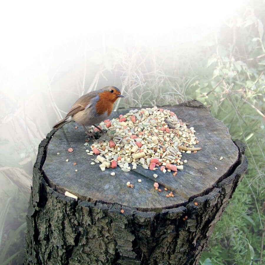 Also contains ever-popular Sunflower Hearts plus vegetable oils and raisins. Feeding this bird food will soon prove that a Robin isn't just for Christmas. 