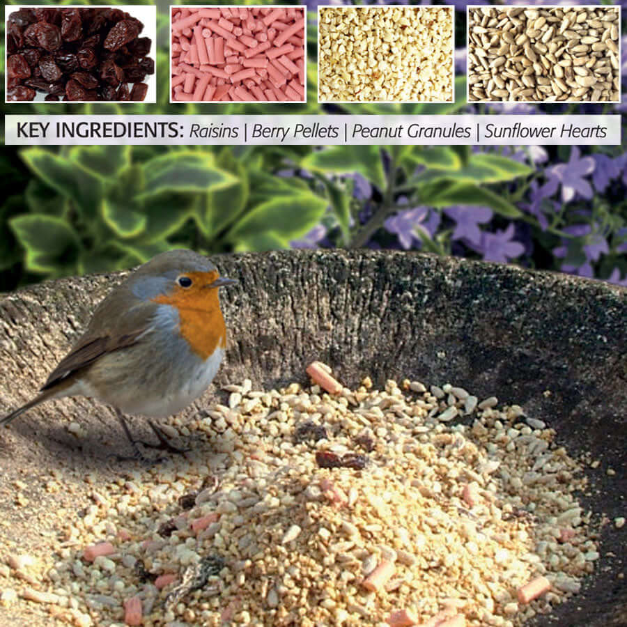 Fat Robin Mix contains raisins, berry Pellets, peanut granules.