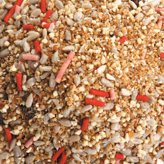 Fat Robin Mix containing red berry suet pellets, sunflower hearts and raisins. 