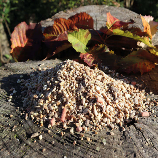 One of our most popular and unique soft foods blended with berry flavoured suet pellets for Britain's favourite garden bird - the Robin.