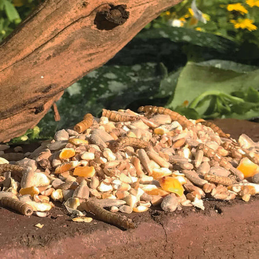 No mess, no waste bird food - 100% edible featuring high-energy seeds and dried mealworms which won't germinate beneath feeders.